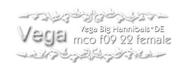 VEGA DE LAVON Big Hannibals * DE