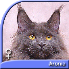 ARONIA Special Agent*PL