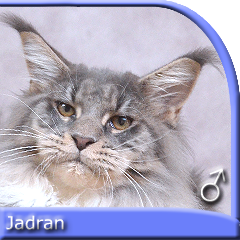 JADRAN Moon-Devills*DE