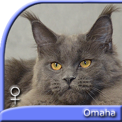 OMAHA Special Agent*PL