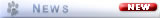 Look here to know whats most newest on the page
